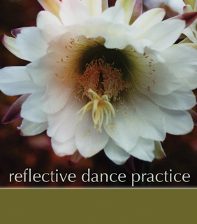 Reflective Dance Practice logo