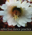 Reflective Dance logo
